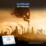 Air Pollution Certificate