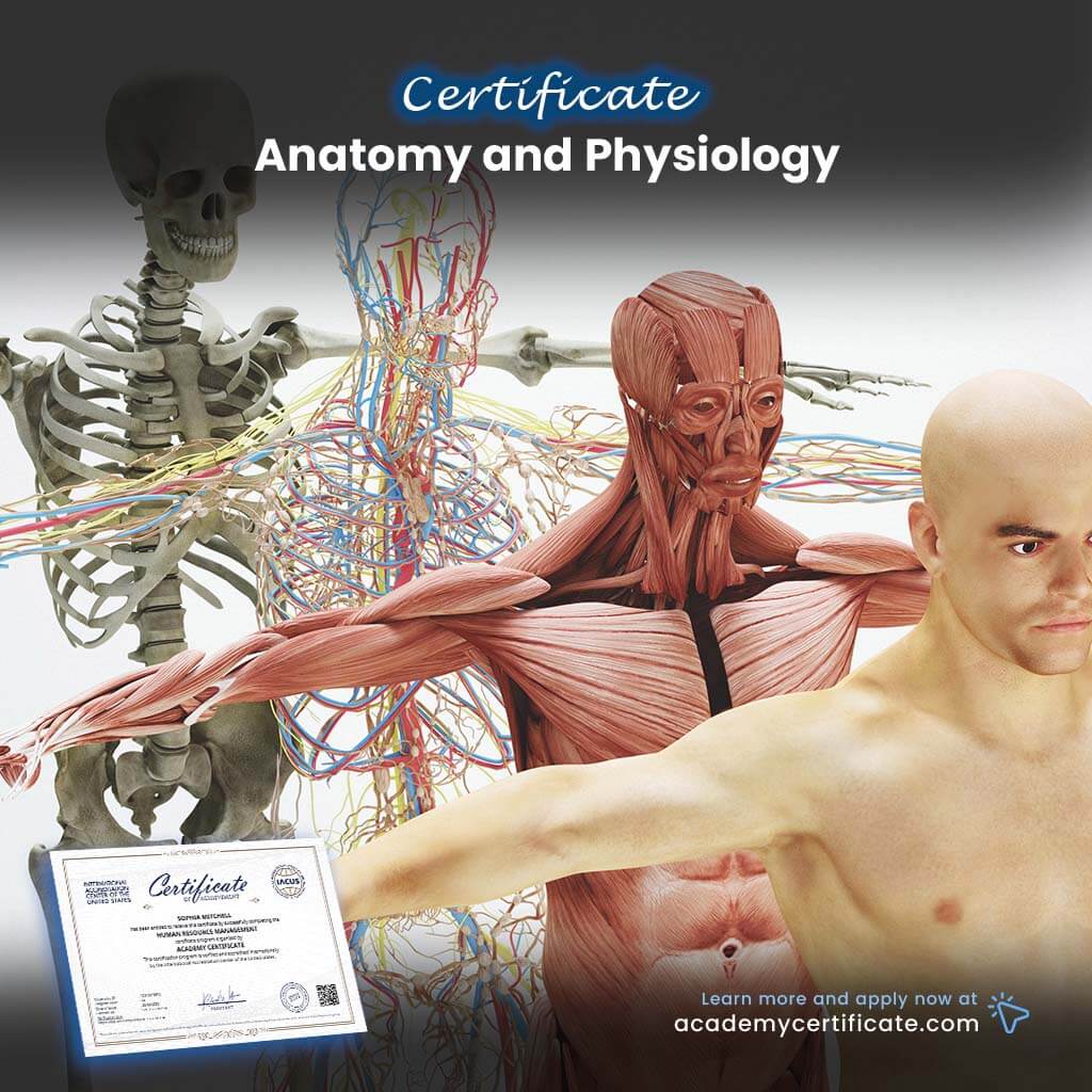 Anatomy and Physiology Certificate