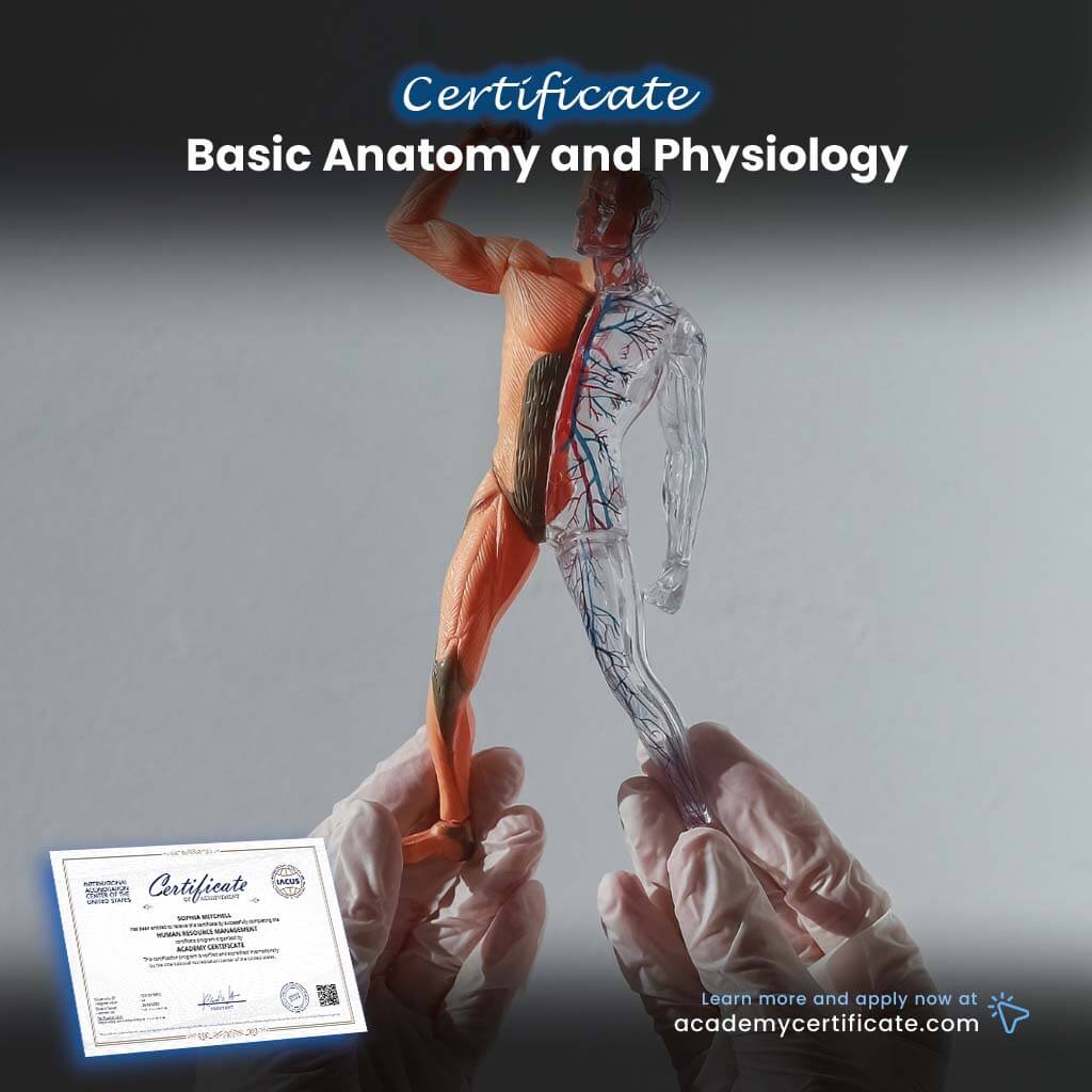 Basic Anatomy and Physiology Certificate