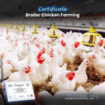 Broiler Chicken Farming Certificate