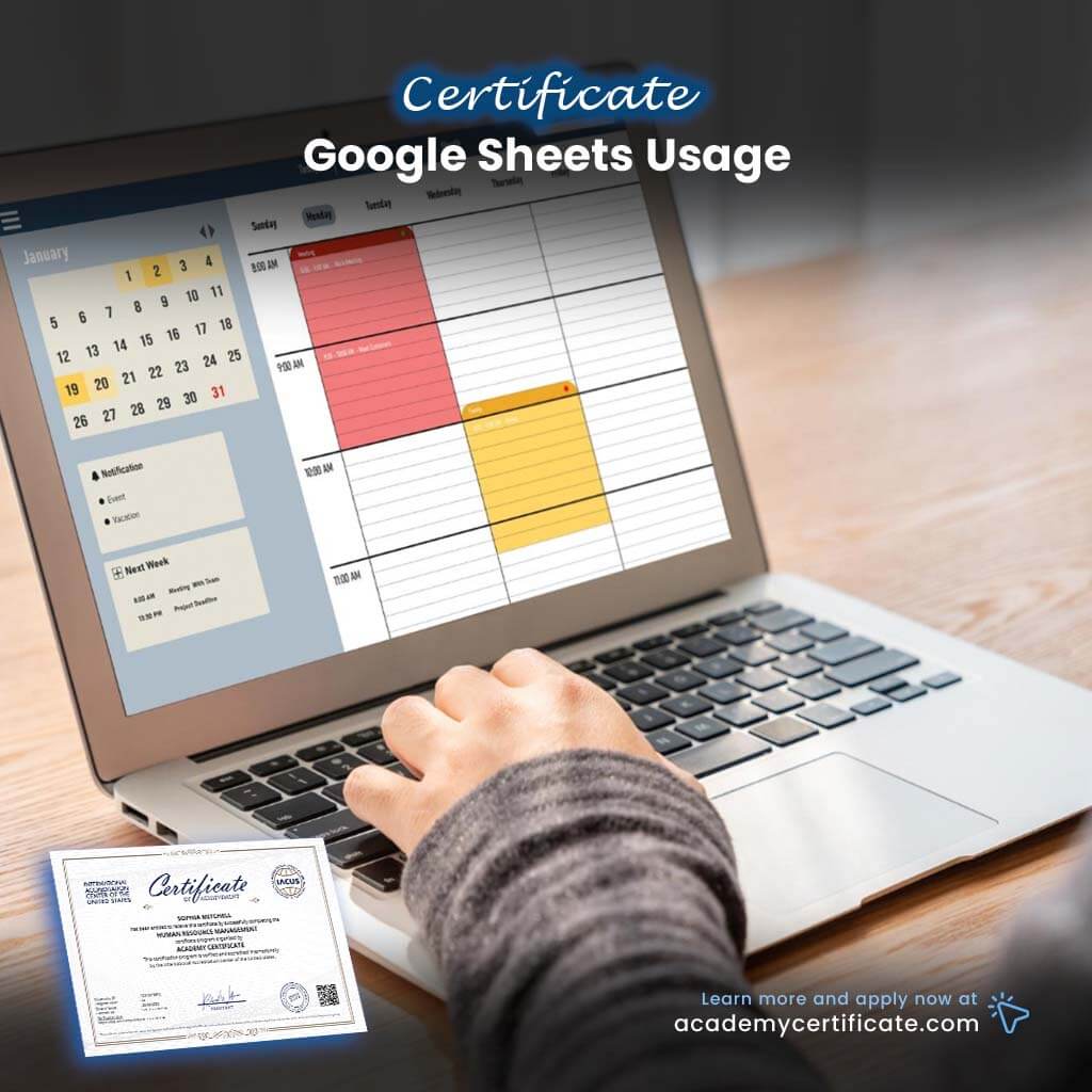 Google Sheets Usage Certificate