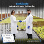 Industrial Plants Cultivation Certificate