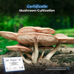 Mushroom Cultivation Certificate