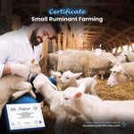 Small Ruminant Farming Certificate