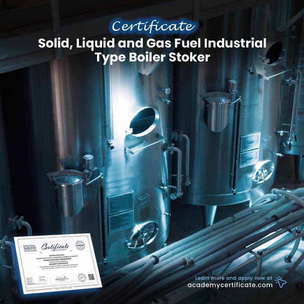 Solid, Liquid and Gas Fuel Industrial Type Boiler Stoker Certificate