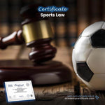 Sports Law Certificate