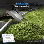 Tea Processing Certificate