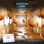 V-Ray Certificate