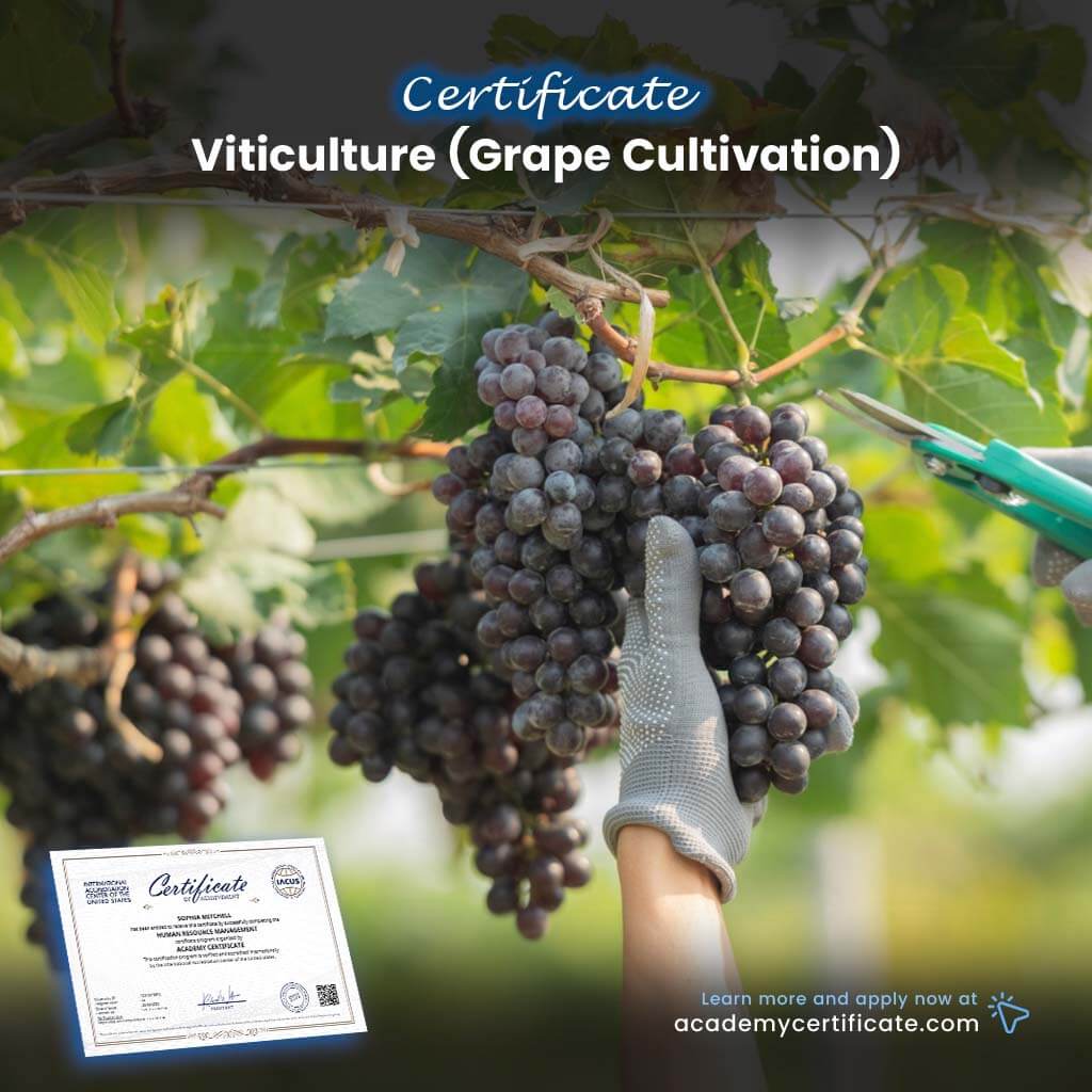 Viticulture (Grape Cultivation) Certificate