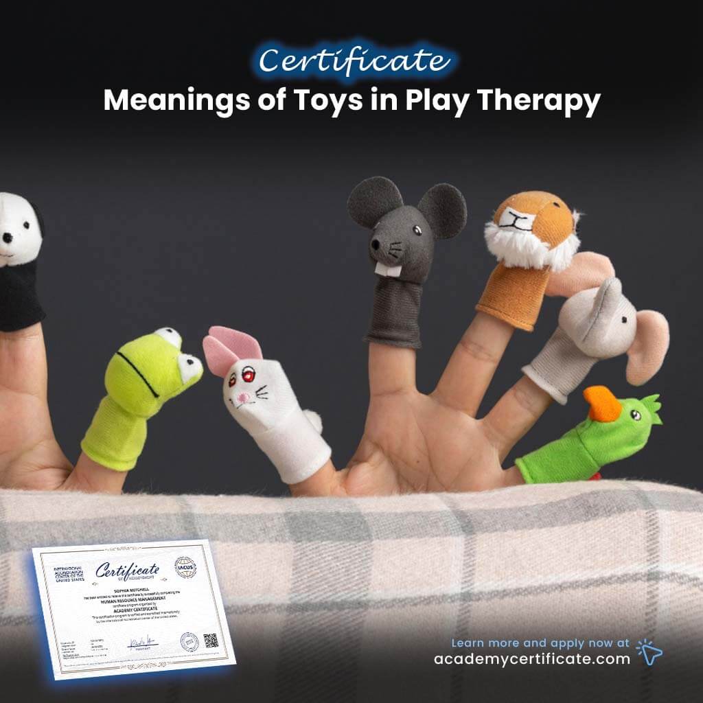Certificado sobre el significado de los juguetes en la terapia de juego