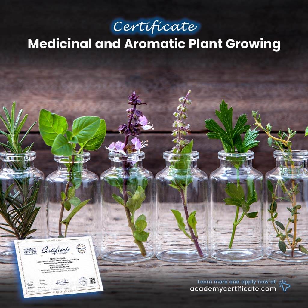 Medicinal and Aromatic Plant Growing Certificate