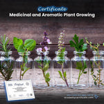 Medicinal and Aromatic Plant Growing Certificate