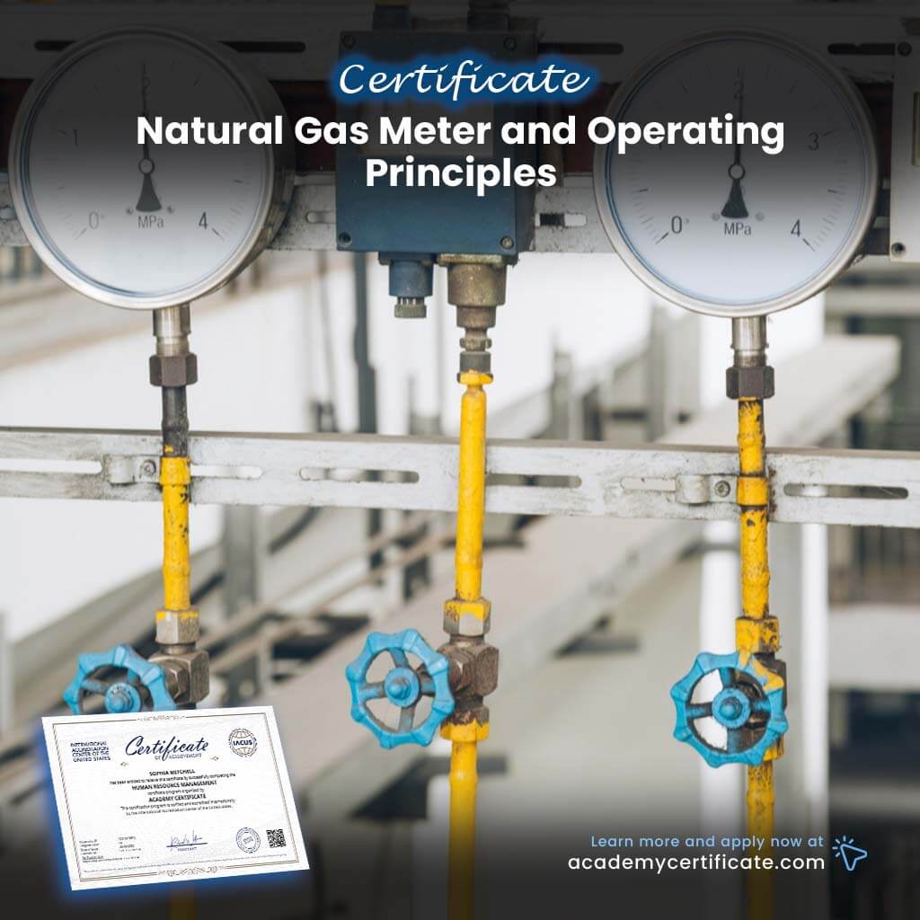 Certificado de medidor de gas natural y principios de funcionamiento 