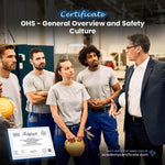 Certificado de Visión General y Cultura de Seguridad en Seguridad y Salud Laboral