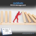 شهادة إدارة PECSS