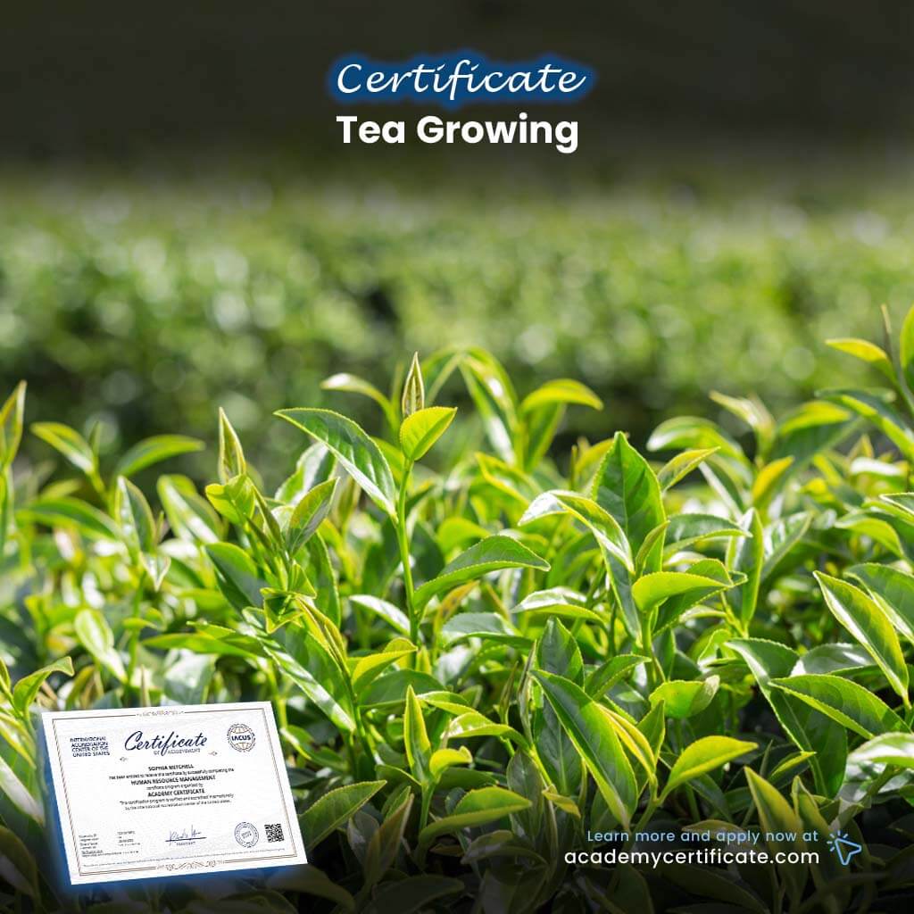 Tea Growing Certificate